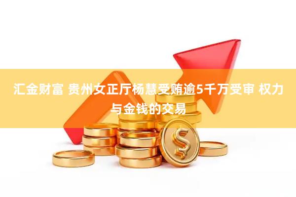 汇金财富 贵州女正厅杨慧受贿逾5千万受审 权力与金钱的交易