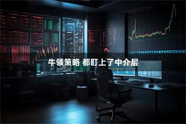 牛领策略 都盯上了中介层