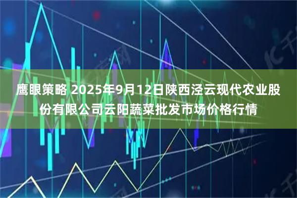 鹰眼策略 2025年9月12日陕西泾云现代农业股份有限公司云阳蔬菜批发市场价格行情