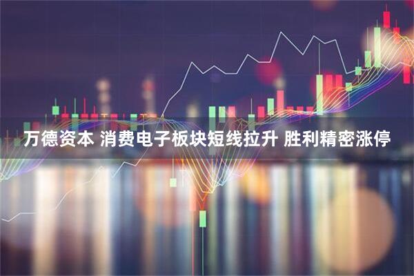 万德资本 消费电子板块短线拉升 胜利精密涨停