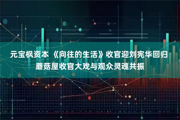 元宝枫资本 《向往的生活》收官迎刘宪华回归 蘑菇屋收官大戏与观众灵魂共振