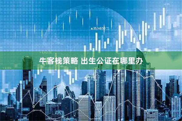 牛客栈策略 出生公证在哪里办